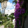Alberghi 2 e 1 stella - Hotel Parco Conte