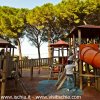 Le Pinete - La Pineta di Fiaiano