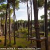 Le Pinete - La Pineta di Fiaiano