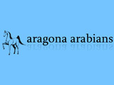 logo Maneggio Aragona Arabians logo Maneggio Aragona Arabians