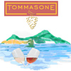 logo Azienda Agricola la Pietra di Tommasone logo Azienda Agricola la Pietra di Tommasone